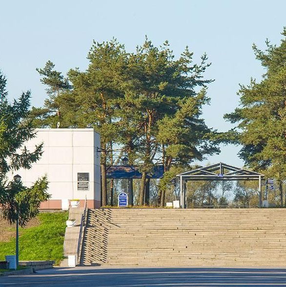 Морги